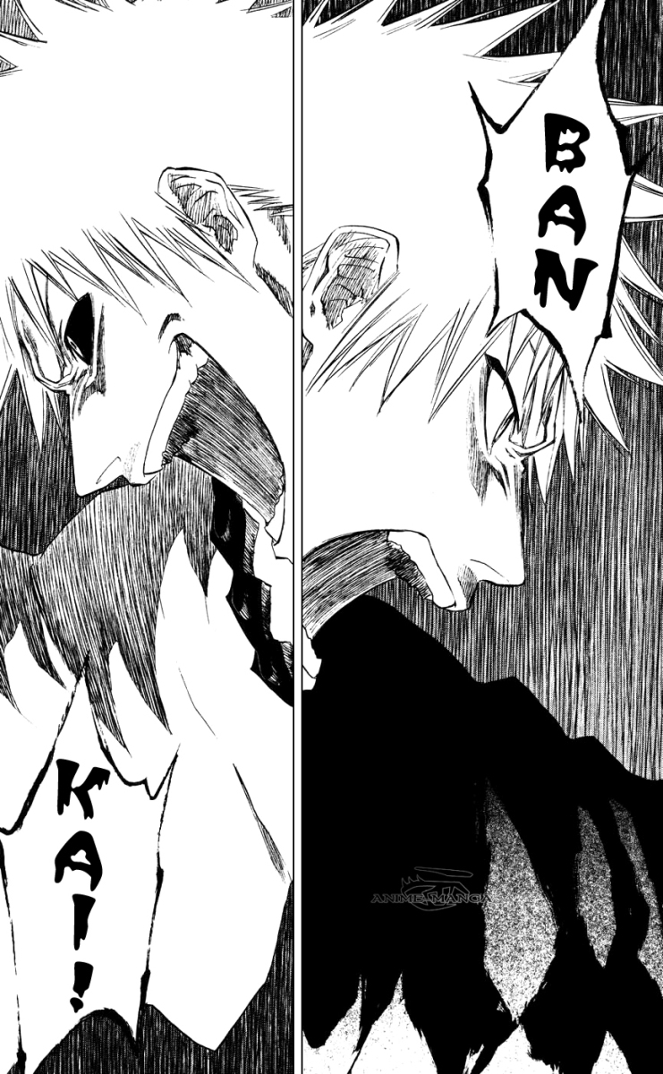 Bleach 218 21 kopie.jpg